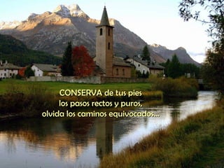 CONSERVA de tus pies  los pasos rectos y puros,  olvida los caminos equivocados...  