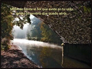 MIRA de frente el Sol que existe en tu vida,  ignora la sombra que queda atrás... 