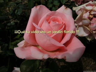 ¡¡¡Qué tu vida sea un jardín florido !!! 