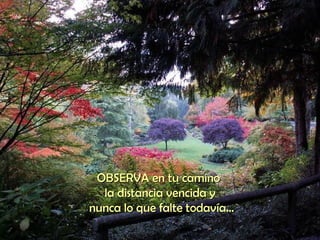OBSERVA en tu camino  la distancia vencida y nunca lo que falte todavía... 