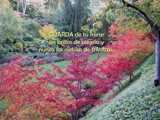 GUARDA de tu mirar  los brillos de alegría y  nunca las nieblas de tristezas... 