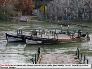 Paso de barca de Miravet. Último transbordador que aún funciona sin motor, también la última astillero fluvial donde
atracaban los llaguts.
 