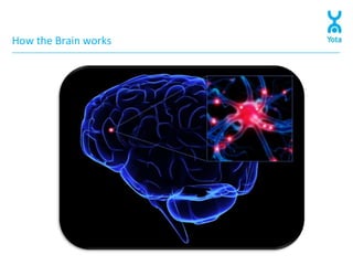 How the Brain works