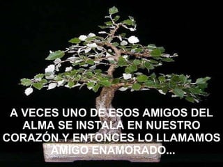 A VECES UNO DE ESOS AMIGOS DEL ALMA SE INSTALA EN NUESTRO CORAZÓN Y ENTONCES LO LLAMAMOS  AMIGO ENAMORADO... 