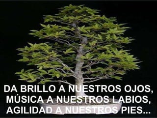DA BRILLO A NUESTROS OJOS, MÚSICA A NUESTROS LABIOS, AGILIDAD A NUESTROS PIES... 