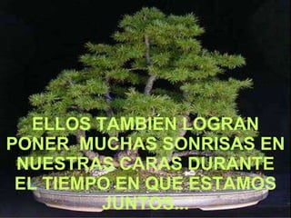 ELLOS TAMBIÉN LOGRAN PONER  MUCHAS SONRISAS EN NUESTRAS CARAS DURANTE EL TIEMPO EN QUE ESTAMOS JUNTOS... 