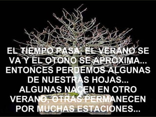 EL TIEMPO PASA, EL VERANO SE VA Y EL OTOÑO SE APROXIMA... ENTONCES PERDEMOS ALGUNAS DE NUESTRAS HOJAS... ALGUNAS NACEN EN OTRO VERANO, OTRAS PERMANECEN POR MUCHAS ESTACIONES... 