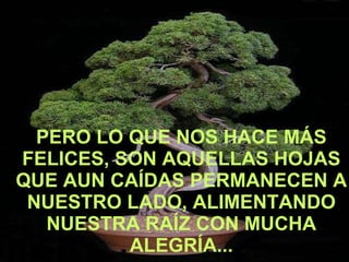 PERO LO QUE NOS HACE MÁS FELICES, SON AQUELLAS HOJAS QUE AUN CAÍDAS PERMANECEN A NUESTRO LADO, ALIMENTANDO NUESTRA RAÍZ CON MUCHA ALEGRÍA... 