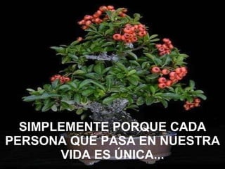 SIMPLEMENTE PORQUE CADA PERSONA QUE PASA EN NUESTRA VIDA ES ÚNICA... 