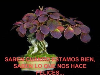 SABEN CUÁNDO ESTAMOS BIEN, SABEN LO QUE NOS HACE FELICES... 