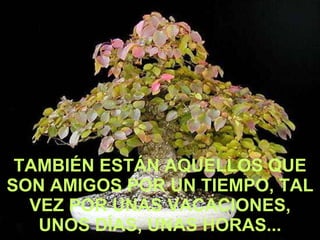 TAMBIÉN ESTÁN AQUELLOS QUE SON AMIGOS POR UN TIEMPO, TAL VEZ POR UNAS VACACIONES, UNOS DÍAS, UNAS HORAS... 