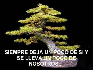 SIEMPRE DEJA UN POCO DE SÍ Y SE LLEVA UN POCO DE NOSOTROS...   