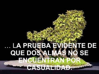 …  L A PRUEBA EVIDENTE DE QUE DOS ALMAS NO SE ENCUENTRAN POR CASUALIDAD. 