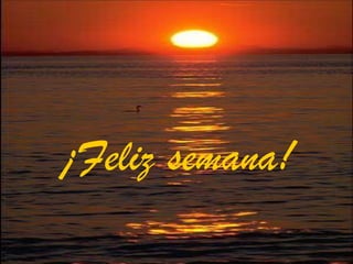 ¡Feliz semana! 
