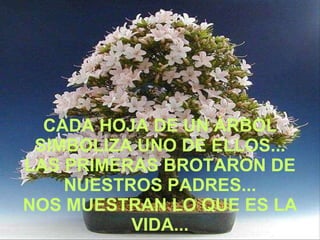 CADA HOJA DE UN ÁRBOL SIMBOLIZA UNO DE ELLOS... LAS PRIMERAS BROTARON DE NUESTROS PADRES... NOS MUESTRAN LO QUE ES LA VIDA... 