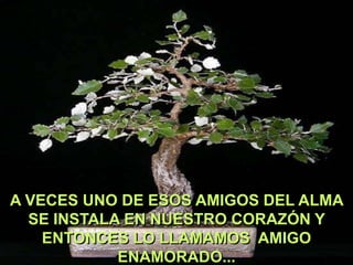 A VECES UNO DE ESOS AMIGOS DEL ALMA
SE INSTALA EN NUESTRO CORAZÓN Y
ENTONCES LO LLAMAMOS AMIGO
ENAMORADO...

 