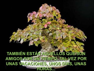 TAMBIÉN ESTÁN AQUELLOS QUE SON
AMIGOS POR UN TIEMPO, TAL VEZ POR
UNAS VACACIONES, UNOS DÍAS, UNAS
HORAS...

 