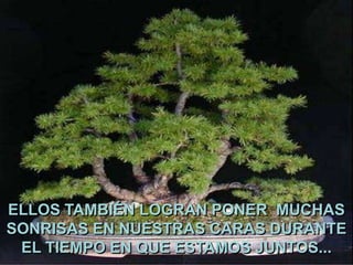ELLOS TAMBIÉN LOGRAN PONER MUCHAS
SONRISAS EN NUESTRAS CARAS DURANTE
EL TIEMPO EN QUE ESTAMOS JUNTOS...

 