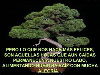 PERO LO QUE NOS HACE MÁS FELICES,
SON AQUELLAS HOJAS QUE AUN CAÍDAS
PERMANECEN A NUESTRO LADO,
ALIMENTANDO NUESTRA RAÍZ CON MUCHA
ALEGRÍA...

 
