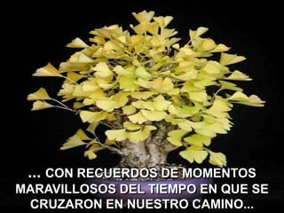 ... CON RECUERDOS DE MOMENTOS
MARAVILLOSOS DEL TIEMPO EN QUE SE
CRUZARON EN NUESTRO CAMINO...

 