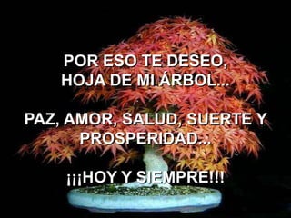 POR ESO TE DESEO,
HOJA DE MI ÁRBOL...

PAZ, AMOR, SALUD, SUERTE Y
PROSPERIDAD...
¡¡¡HOY Y SIEMPRE!!!

 