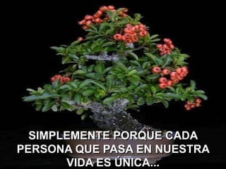 SIMPLEMENTE PORQUE CADA
PERSONA QUE PASA EN NUESTRA
VIDA ES ÚNICA...

 