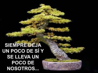 SIEMPRE DEJA
UN POCO DE SÍ Y
SE LLEVA UN
POCO DE
NOSOTROS...

 