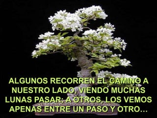 ALGUNOS RECORREN EL CAMINO A
NUESTRO LADO, VIENDO MUCHAS
LUNAS PASAR; A OTROS, LOS VEMOS
APENAS ENTRE UN PASO Y OTRO…

 