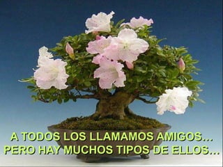 A TODOS LOS LLAMAMOS AMIGOS…
PERO HAY MUCHOS TIPOS DE ELLOS…

 