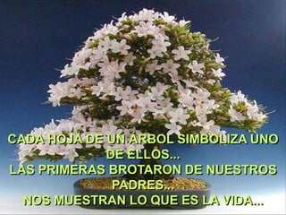 CADA HOJA DE UN ÁRBOL SIMBOLIZA UNO
DE ELLOS...
LAS PRIMERAS BROTARON DE NUESTROS
PADRES...
NOS MUESTRAN LO QUE ES LA VIDA...

 