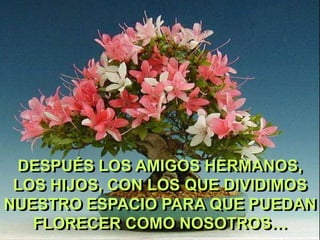 DESPUÉS LOS AMIGOS HERMANOS,
LOS HIJOS, CON LOS QUE DIVIDIMOS
NUESTRO ESPACIO PARA QUE PUEDAN
FLORECER COMO NOSOTROS…

 