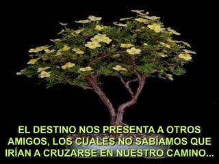 EL DESTINO NOS PRESENTA A OTROS
AMIGOS, LOS CUALES NO SABÍAMOS QUE
IRÍAN A CRUZARSE EN NUESTRO CAMINO...

 