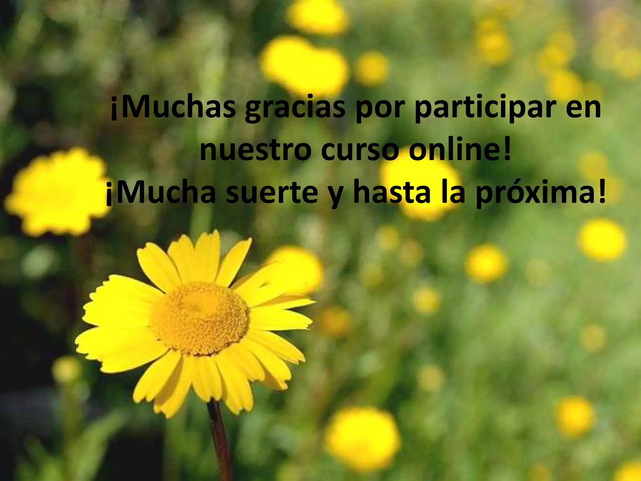 ¡Muchasgraciasporparticipar en nuestrocurso online!¡Muchasuerte y hasta la próxima!