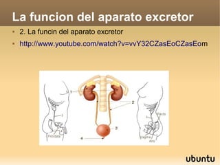 La funcion del aparato excretor


2. La funcin del aparato excretor



http://www.youtube.com/watch?v=vvY32CZasEoCZasEom

 