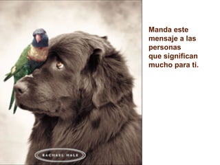 Manda este
mensaje a las
personas
que significan
mucho para ti.
 