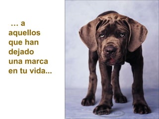 … a
aquellos
que han
dejado
una marca
en tu vida...
 