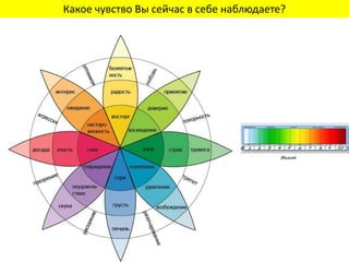 Какое чувство Вы сейчас в себе наблюдаете?
 