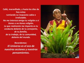 Callé, maravillado, y hasta los días de hoy estoy  rumiando su respuesta sabia e irrefutable. No me interesa amigo tu religión o si tienes o no tienes religión. Lo que realmente me importa es tu conducta delante de tu semejante, de tu familia,  de tu trabajo, de tu comunidad, delante del mundo. Recordemos:  El Universo es el eco de nuestras acciones y nuestros pensamientos. 