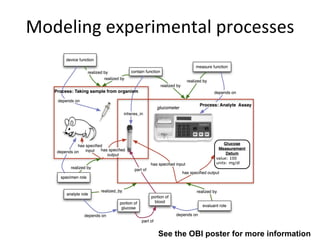 Modeling experimental processes See the OBI poster for more information 