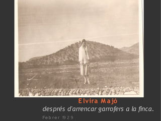 E lvira M a jó
després d'arrencar garrofers a la finca.
Fe b r e r 19 2 9
 