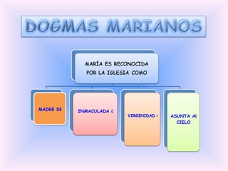 MADRE DE DIOS INMACULADA CONCEPCIÓN   VIRGINIDAD PERPETUA ASUNTA AL  CIELO 