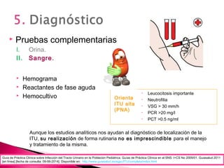  Pruebas complementarias
I. Orina.
II. Sangre.
Guía de Práctica Clínica sobre Infección del Tracto Urinario en la Población Pediátrica. Guías de Práctica Clínica en el SNS: I+CS No 2009/01. Guiasalud 2011
[en línea] [fecha de consulta: 09-06-2014]. Disponible en: http://www.guiasalud.es/egpc/ITU/completa/index.html
 Hemograma
 Reactantes de fase aguda
 Hemocultivo
• Leucocitosis importante
• Neutrofilia
• VSG > 30 mm/h
• PCR >20 mg/l
• PCT >0.5 ng/ml
Orienta
ITU alta
(PNA)
Aunque los estudios analíticos nos ayudan al diagnóstico de localización de la
ITU, su realización de forma rutinaria no es imprescindible para el manejo
y tratamiento de la misma.
 