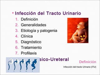 Infección del tracto Urinario (ITU)
 Infección del Tracto Urinario
1. Definición
2. Generalidades
3. Etiología y patogenia
4. Clínica
5. Diagnóstico
6. Tratamiento
7. Profilaxis
 Reflujo Vésico-Ureteral
 