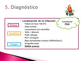  Localización de la infección
◦ Fiebre sin foco >38.5ºC.
◦ Dolor lumbar.
◦ Leucocitosis con neutrofilia
◦ VSG > 30mm/h
◦ PCR >20mg/L
◦ PCT >0.5ng/ml
◦ Baja osmolaridad urinaria (<800mOsm/L)
◦ Ecografía renal
◦ DMSA precoz
Clínica
Analítica
Imagen
Correlación
PNA
 