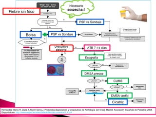 Bolsa PSP vs Sondaje
PSP vs Sondaje
ATB 7-14 días
Ecografía
DMSA precoz
CUMS
Cicatriz
DMSA tardío
Hernández Marco R, Daza A, Marín Serra J. Protocolos diagnósticos y terapéuticos de Nefrología. [en línea]. Madrid: Asociación Española de Pediatría; 2008.
Disponible en: http://www.aeped.es/sites/default/files/documentos/5_4.pdf
Fiebre sin foco
Necesario
sospechar!
Urocultivo
positivo
 