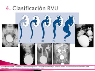 Espino Hernández MM, Loris Pablo C. Protocolos diagnósticos y terapéuticos de Nefrología. [en línea]. Madrid: Asociación Española de Pediatría; 2008.
Disponible en: http://www.aeped.es/sites/default/files/documentos/6_3.pdf
 