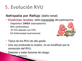 Nefropatía por Reflujo (daño renal)
 Cicatrices renales, daño irreversible del parénquima.
◦ Diagnóstico: DMSA (hipocaptación)
◦ 80% asintomáticos
◦ 10-15% debutan con HTA
◦ 5% Enfermedad renal terminal.
 Típica de los RVU de alto grado
 Una vez producida la cicatriz, no se modifican por la
corrección del RVU.
 Detectar y tratar factores de riesgo:
 HTA, proteinuria…
 