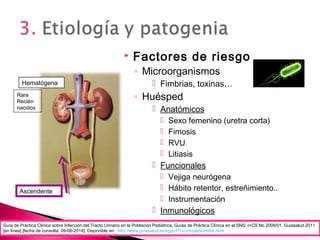 Ascendente
Hematógena
 Factores de riesgo
◦ Microorganismos
 Fimbrias, toxinas…
◦ Huésped
 Anatómicos
 Sexo femenino (uretra corta)
 Fimosis
 RVU
 Litiasis
 Funcionales
 Vejiga neurógena
 Hábito retentor, estreñimiento..
 Instrumentación
 Inmunológicos
Guía de Práctica Clínica sobre Infección del Tracto Urinario en la Población Pediátrica. Guías de Práctica Clínica en el SNS: I+CS No 2009/01. Guiasalud 2011
[en línea] [fecha de consulta: 09-06-2014]. Disponible en: http://www.guiasalud.es/egpc/ITU/completa/index.html
Rara
Recién
nacidos
 