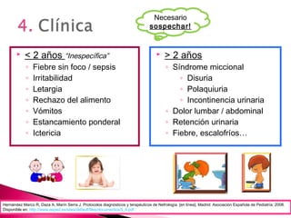  < 2 años “Inespecífica”
◦ Fiebre sin foco / sepsis
◦ Irritabilidad
◦ Letargia
◦ Rechazo del alimento
◦ Vómitos
◦ Estancamiento ponderal
◦ Ictericia
 > 2 años
◦ Síndrome miccional
◦ Disuria
◦ Polaquiuria
◦ Incontinencia urinaria
◦ Dolor lumbar / abdominal
◦ Retención urinaria
◦ Fiebre, escalofríos…
Necesario
sospechar!
Hernández Marco R, Daza A, Marín Serra J. Protocolos diagnósticos y terapéuticos de Nefrología. [en línea]. Madrid: Asociación Española de Pediatría; 2008.
Disponible en: http://www.aeped.es/sites/default/files/documentos/5_4.pdf
 