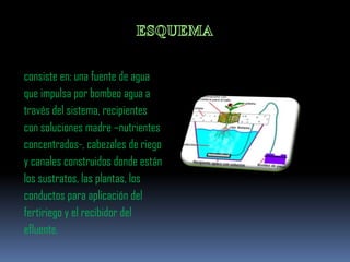 consiste en: una fuente de agua
que impulsa por bombeo agua a
través del sistema, recipientes
con soluciones madre –nutrientes
concentrados-, cabezales de riego
y canales construidos donde están
los sustratos, las plantas, los
conductos para aplicación del
fertiriego y el recibidor del
efluente.
 